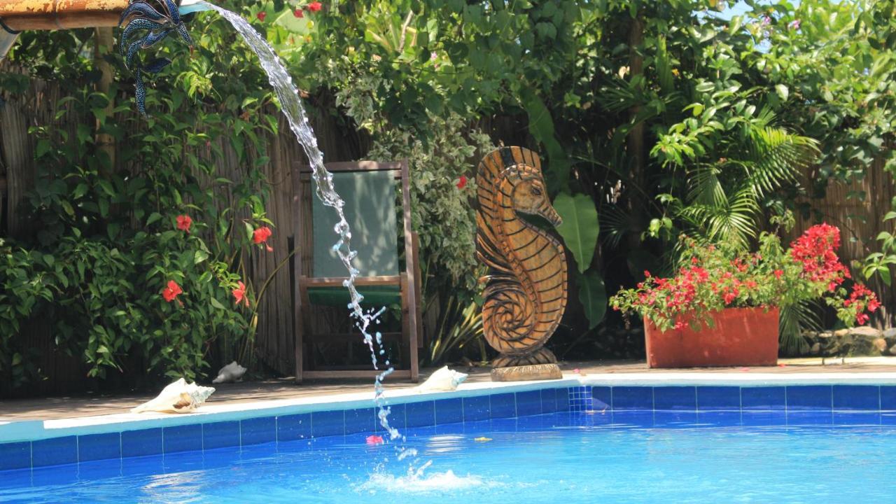 La Natura Hostel & Pool Palomino Dış mekan fotoğraf