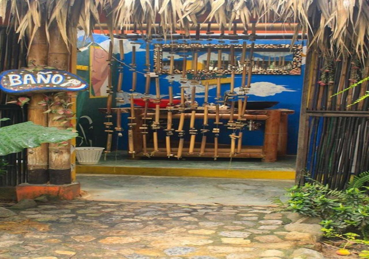 La Natura Hostel & Pool Palomino Dış mekan fotoğraf
