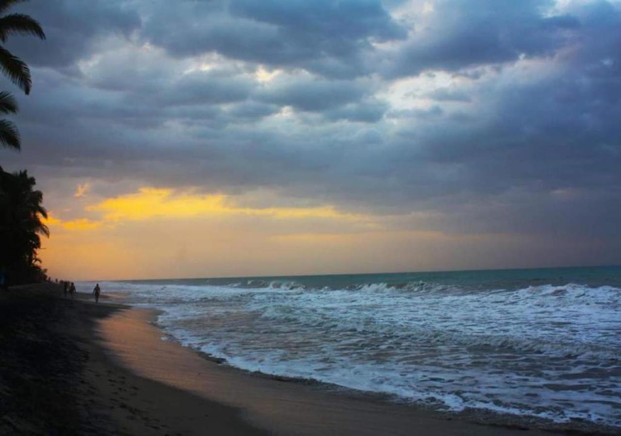 La Natura Hostel & Pool Palomino Dış mekan fotoğraf