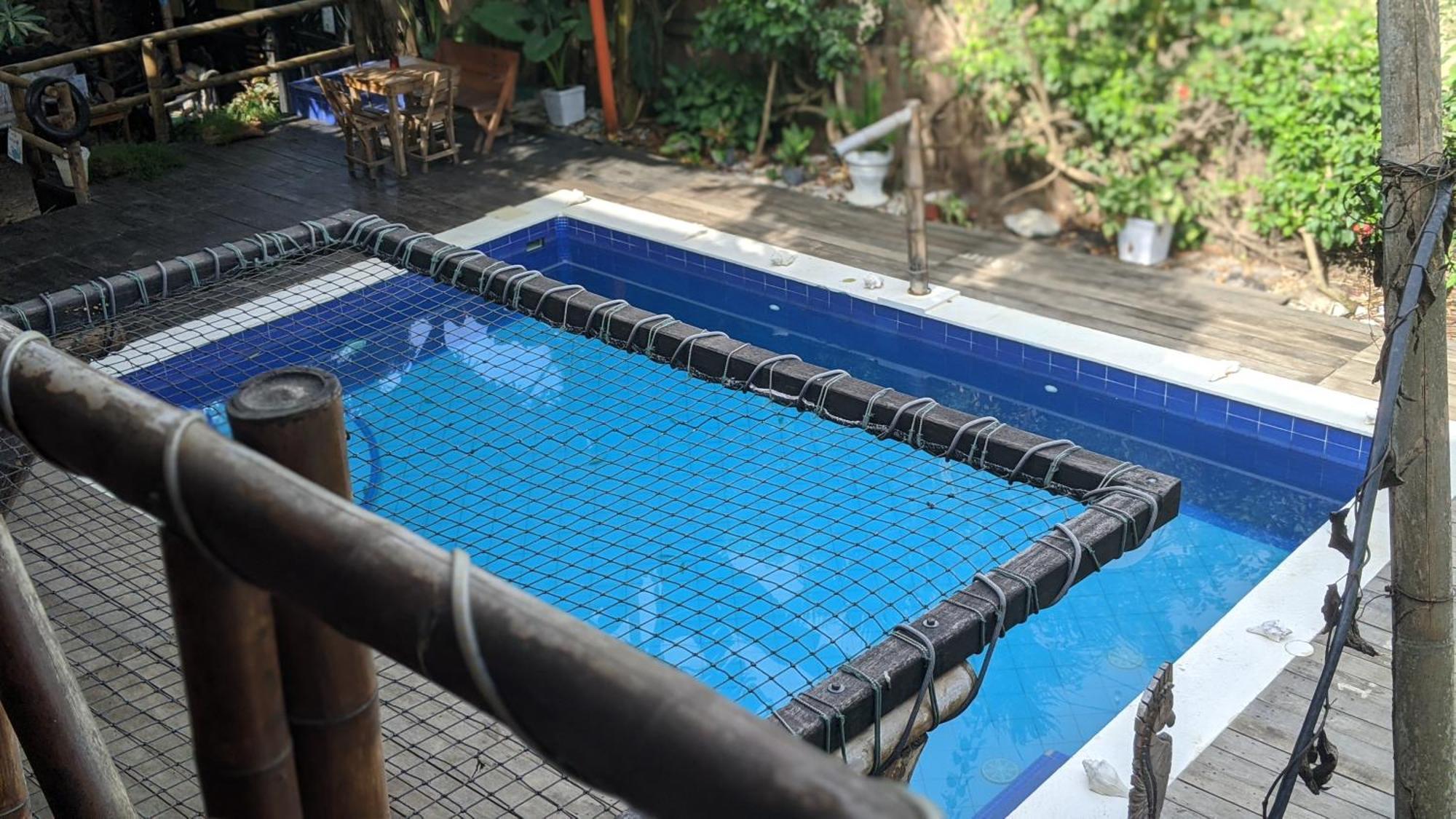 La Natura Hostel & Pool Palomino Dış mekan fotoğraf
