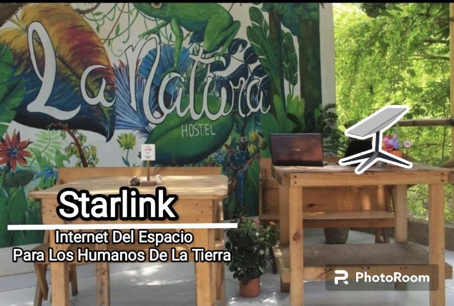 La Natura Hostel & Pool Palomino Dış mekan fotoğraf