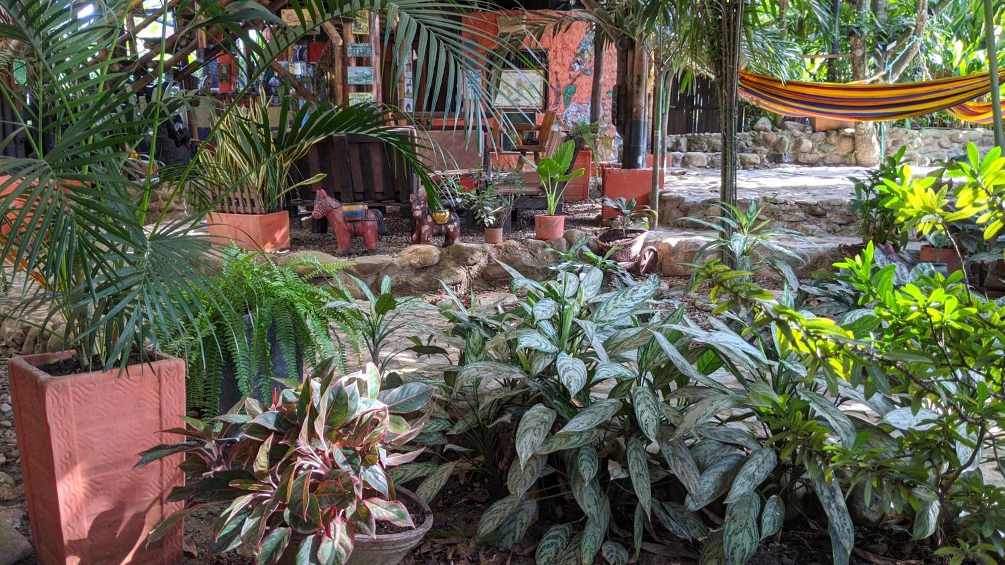 La Natura Hostel & Pool Palomino Dış mekan fotoğraf
