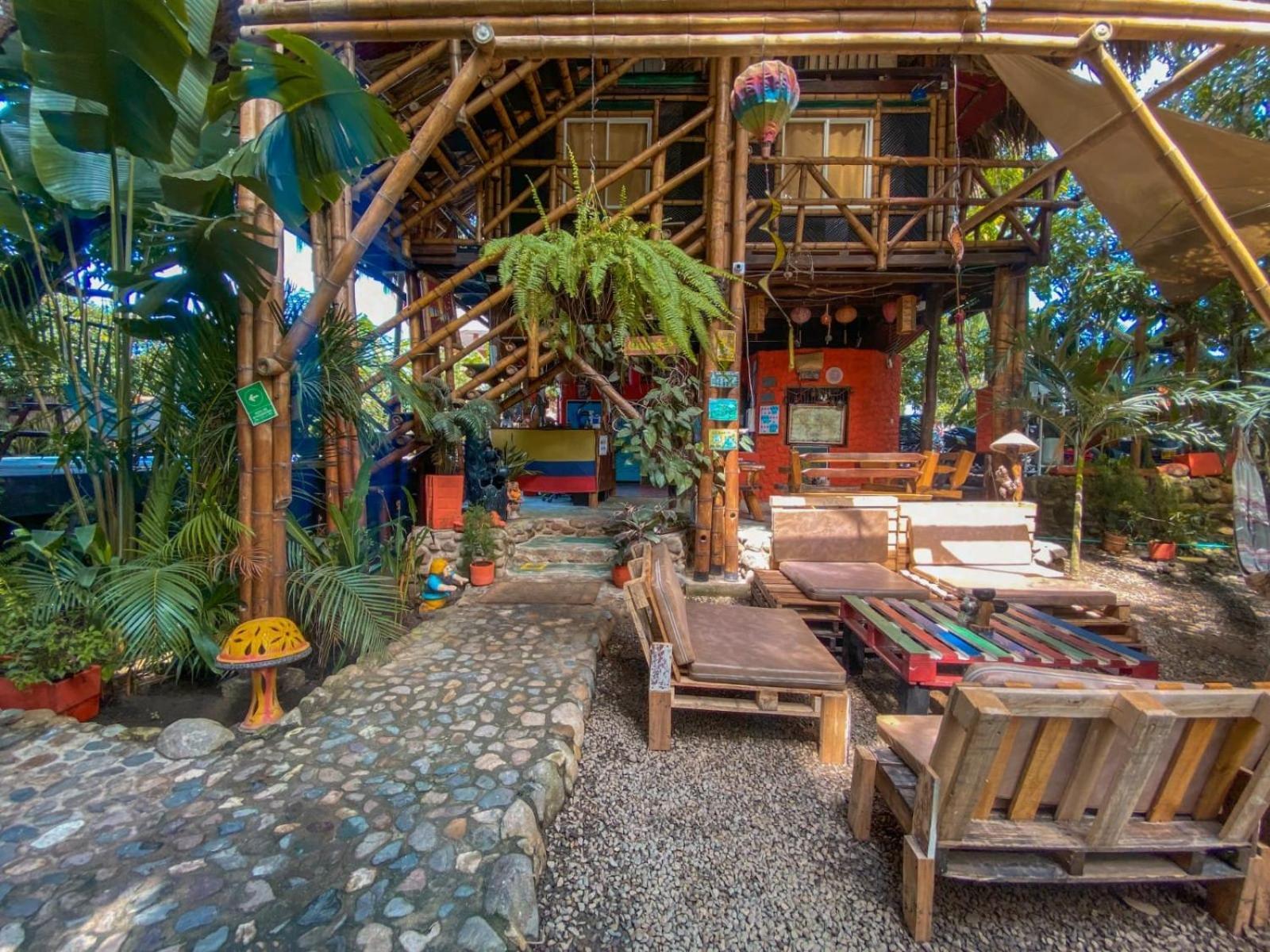 La Natura Hostel & Pool Palomino Dış mekan fotoğraf