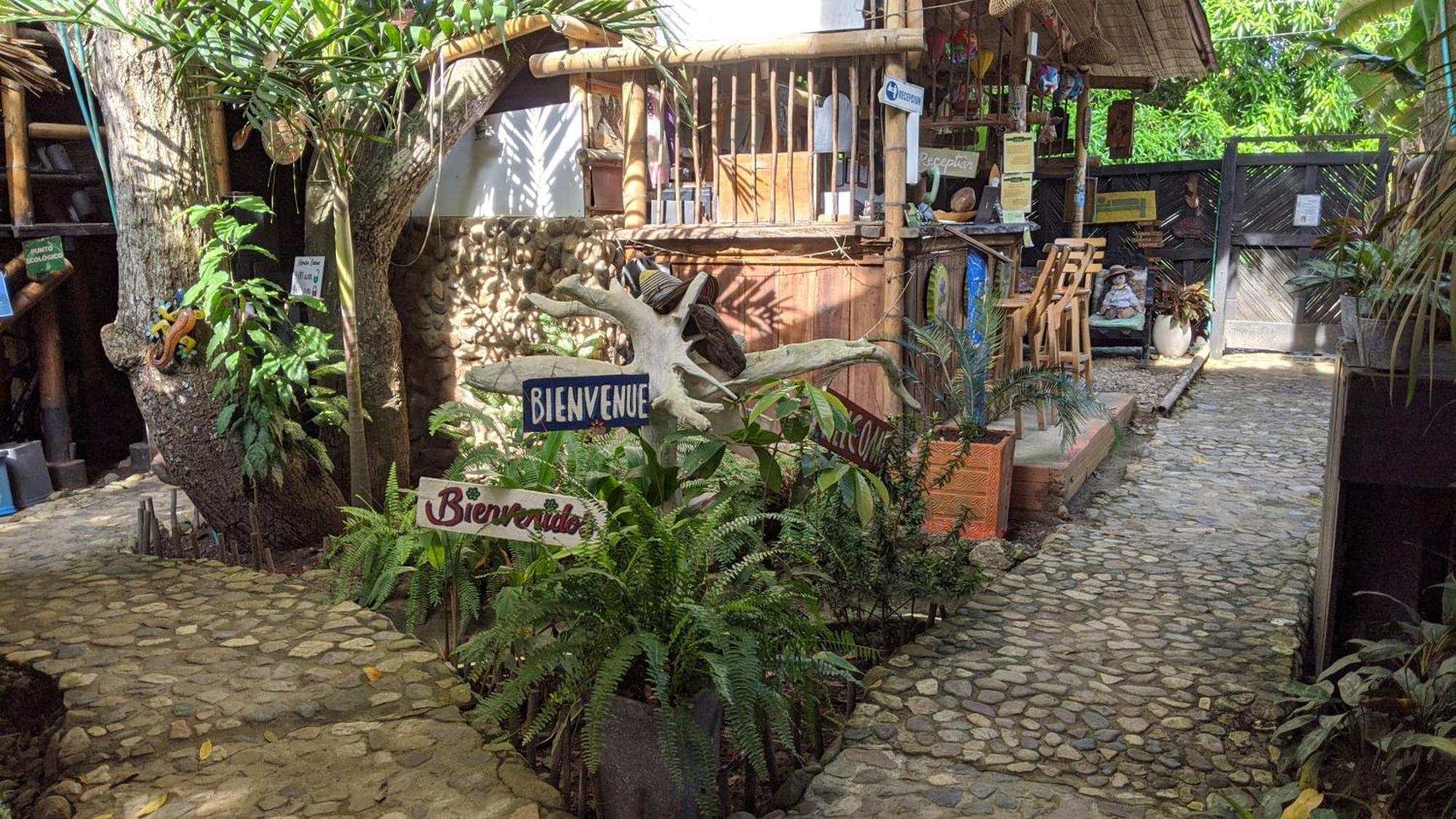 La Natura Hostel & Pool Palomino Dış mekan fotoğraf