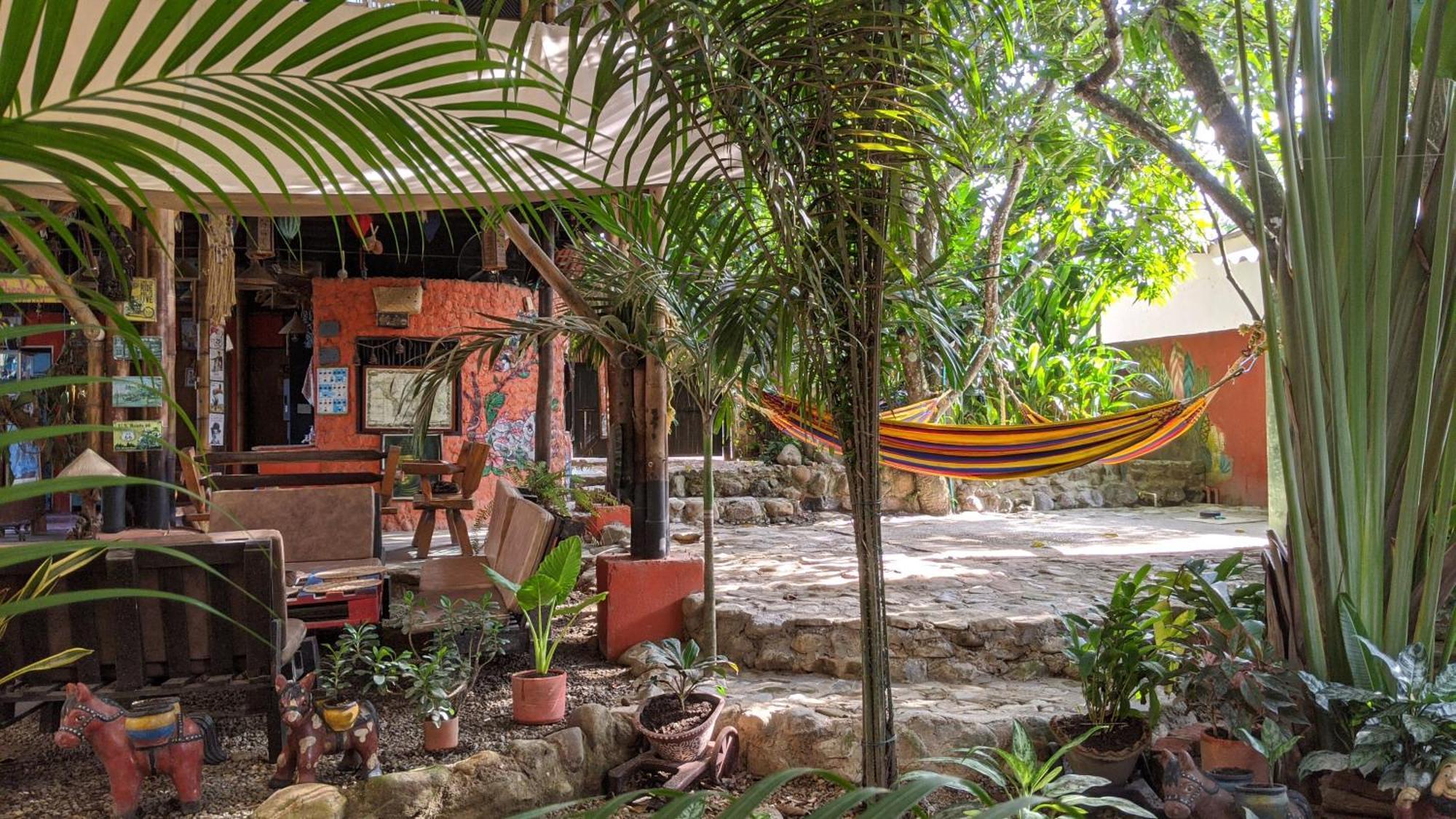 La Natura Hostel & Pool Palomino Dış mekan fotoğraf