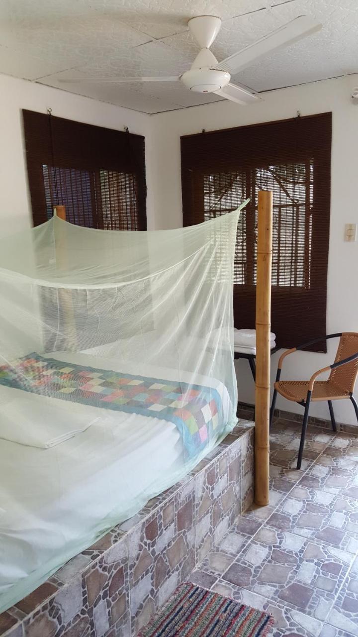 La Natura Hostel & Pool Palomino Dış mekan fotoğraf