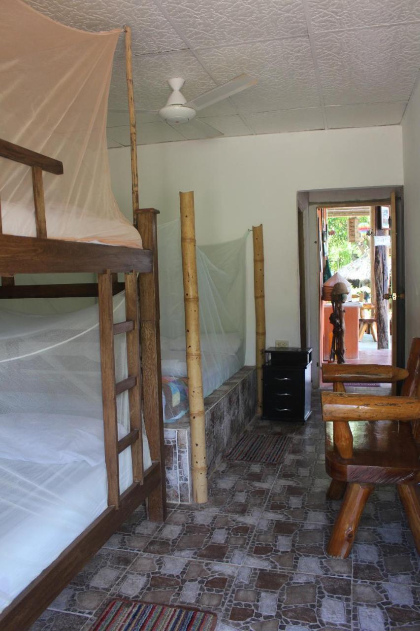 La Natura Hostel & Pool Palomino Dış mekan fotoğraf