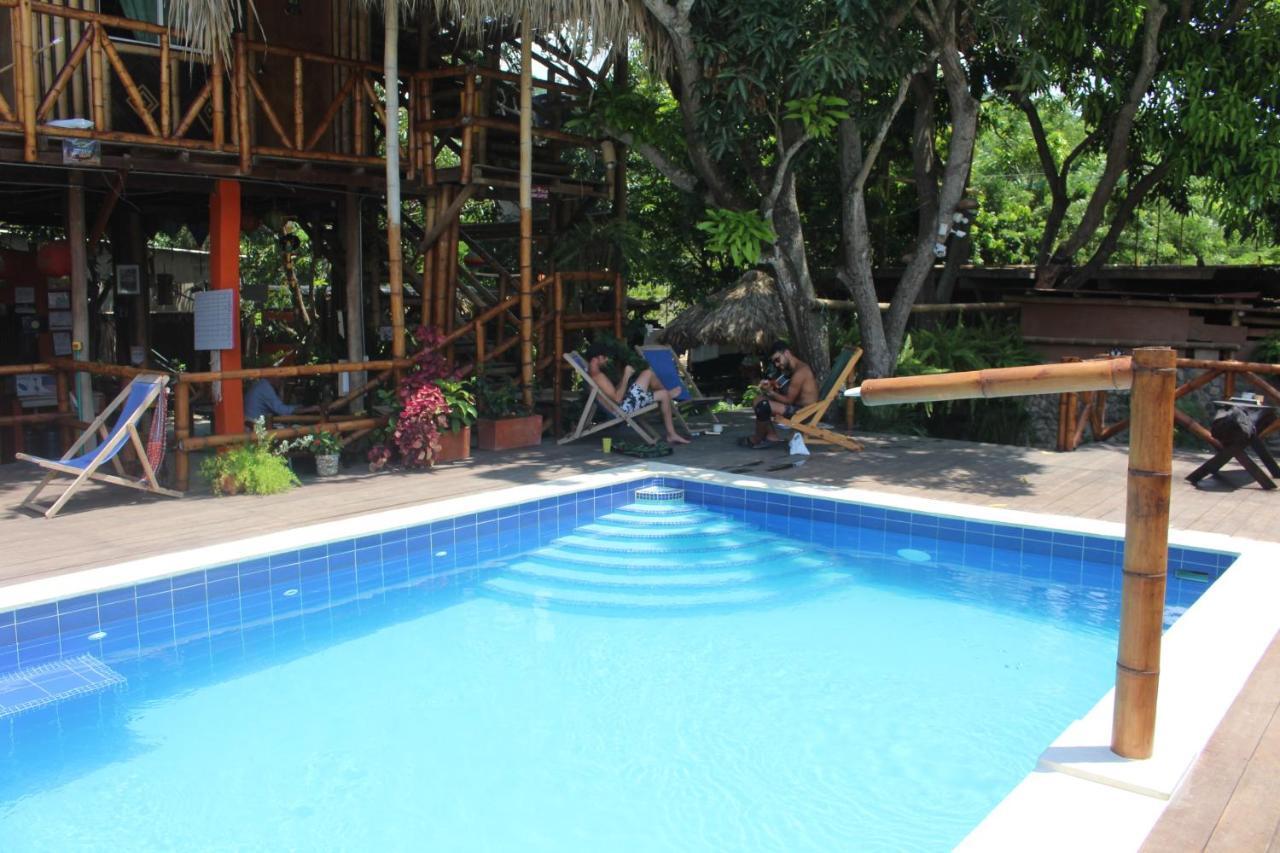 La Natura Hostel & Pool Palomino Dış mekan fotoğraf